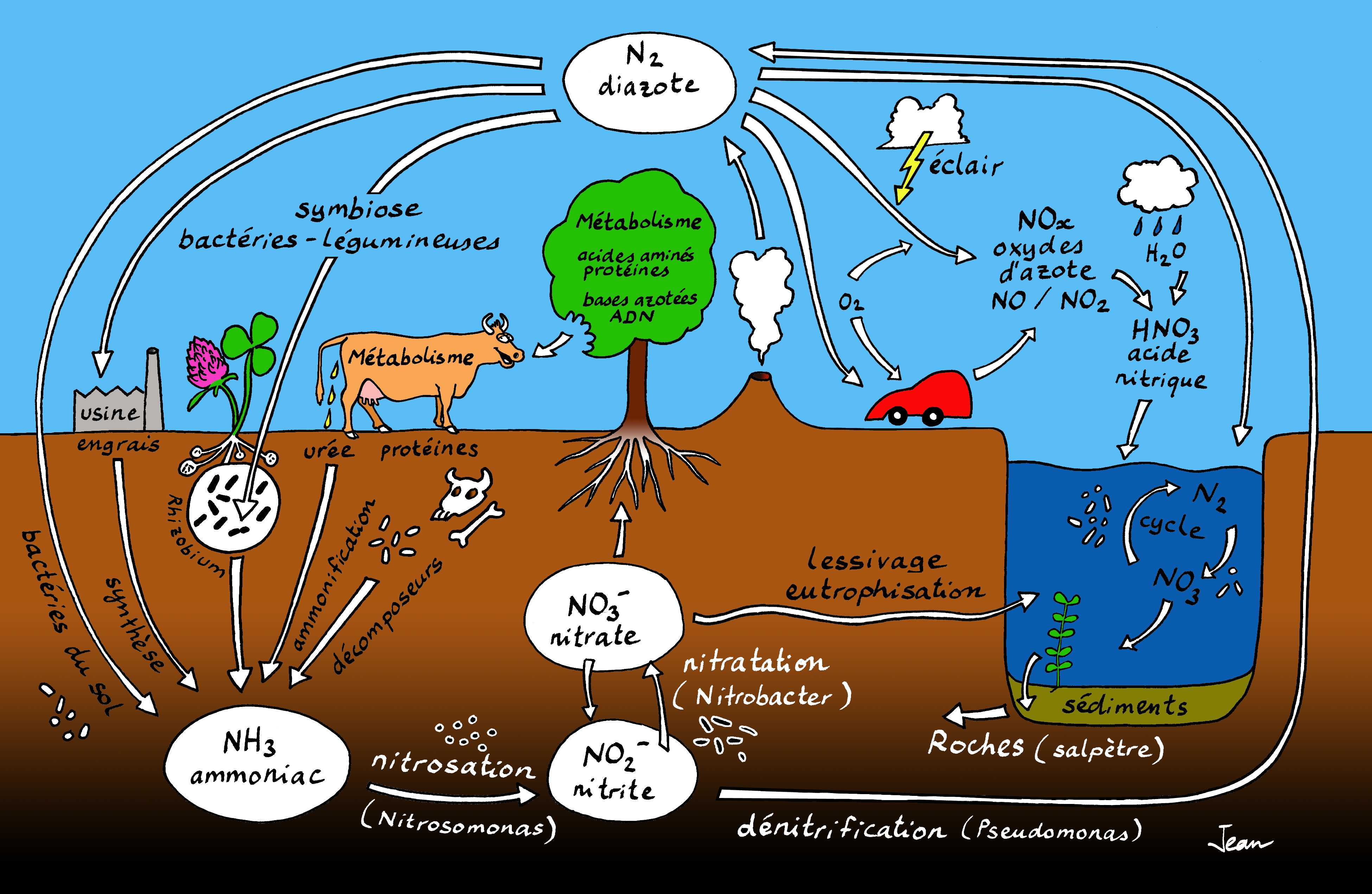 forme cycles